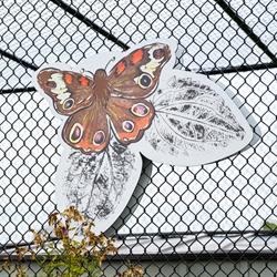 We All Grow Here, 2024